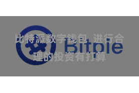 比特派数字钱包 进行合理的投资有打算