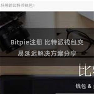 Bitpie注册 比特派钱包交易延迟解决方案分享