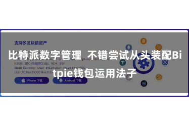 比特派数字管理  不错尝试从头装配Bitpie钱包运用法子